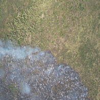 Bombeiros controlam inc&ecirc;ndio no Pantanal e monitoram &aacute;rea no Paiagu&aacute;s