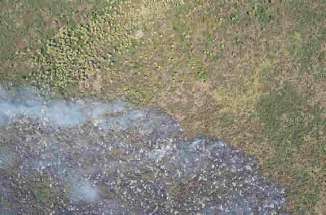 Bombeiros controlam inc&ecirc;ndio no Pantanal e monitoram &aacute;rea no Paiagu&aacute;s