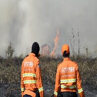 &Aacute;rea queimada no Pantanal teve redu&ccedil;&atilde;o de 55% entre os meses de janeiro a setembro de 2023