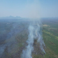 Apoiado pelo Fundect, projeto em MS busca alternativa para evitar inc&ecirc;ndios no Pantanal