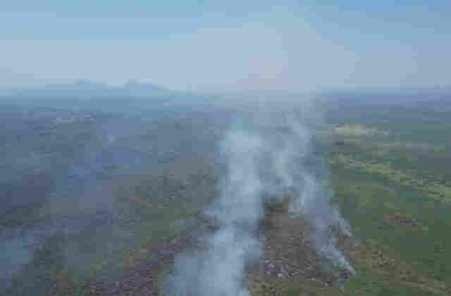 Apoiado pelo Fundect, projeto em MS busca alternativa para evitar inc&ecirc;ndios no Pantanal