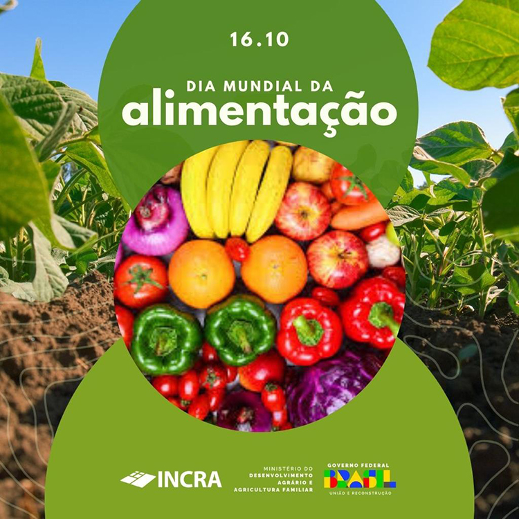 Di&aacute;logo e planejamento marcam a&ccedil;&atilde;o do MST em Mato Grosso do Sul