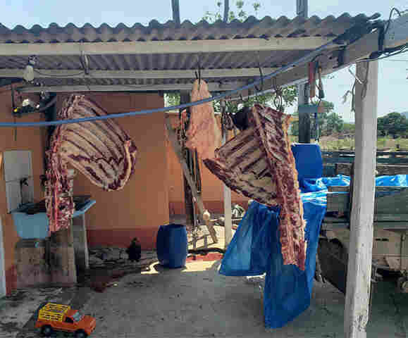 Com&eacute;rcio de carne clandestina &eacute; descoberto pela Pol&iacute;cia Civil em Corumb&aacute;