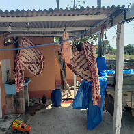 Com&eacute;rcio de carne clandestina &eacute; descoberto pela Pol&iacute;cia Civil em Corumb&aacute;