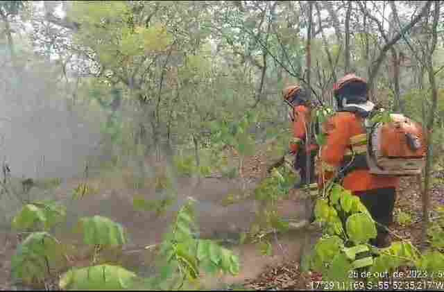 Bombeiros combatem inc&ecirc;ndios h&aacute; quatro dias no Pantanal