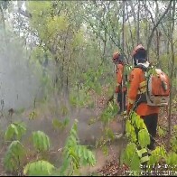 Bombeiros combatem inc&ecirc;ndios h&aacute; quatro dias no Pantanal