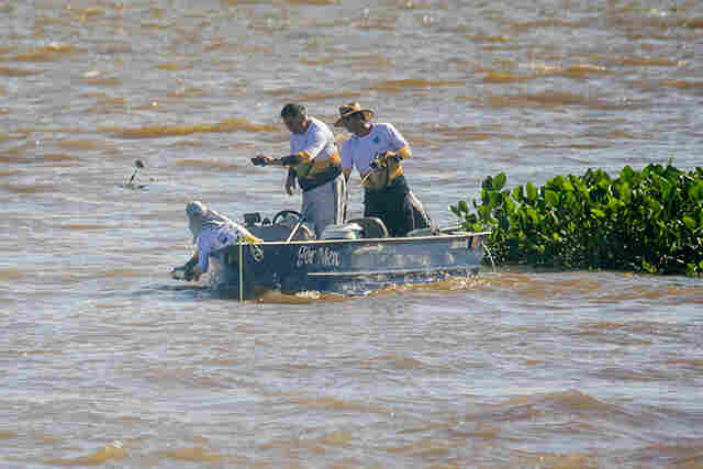 Defeso da Piracema come&ccedil;a dia 5 de novembro e &uacute;ltimo fim de semana de pesca exige cuidados
