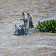 Defeso da Piracema come&ccedil;a dia 5 de novembro e &uacute;ltimo fim de semana de pesca exige cuidados