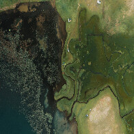 Em parceria com a Synergia Socioambiental, SOS Pantanal lan&ccedil;a o Sistema Aracu&atilde;, que promove monitoramento de focos de calor no Pantanal