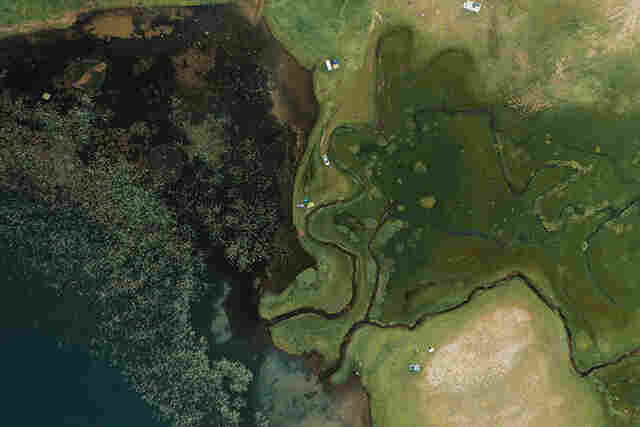 Em parceria com a Synergia Socioambiental, SOS Pantanal lan&ccedil;a o Sistema Aracu&atilde;, que promove monitoramento de focos de calor no Pantanal