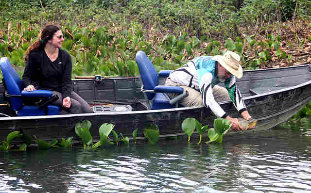 Temporada de pesca abundante com Pantanal  cheio consolida o pesque e solte em Corumb&aacute;