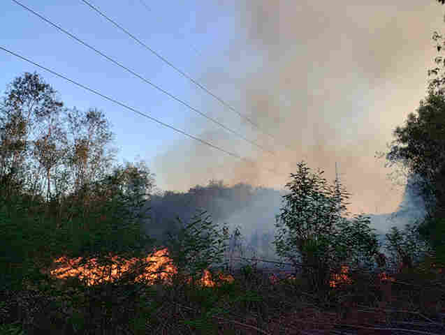 Bombeiros combatem inc&ecirc;ndio em vegeta&ccedil;&atilde;o atr&aacute;s do SENAI em Corumb&aacute;