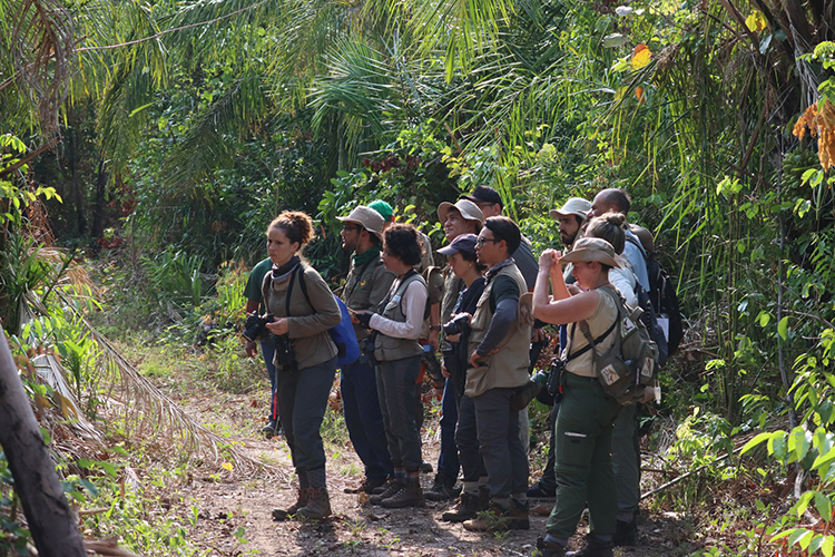 Turismo a partir da observa&ccedil;&atilde;o de aves &eacute; discutido no Pantanal de MS em evento hist&oacute;rico