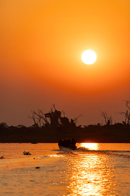 Turismo a partir da observa&ccedil;&atilde;o de aves &eacute; discutido no Pantanal de MS em evento hist&oacute;rico