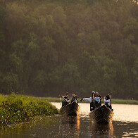 Turismo a partir da observa&ccedil;&atilde;o de aves &eacute; discutido no Pantanal de MS em evento hist&oacute;rico
