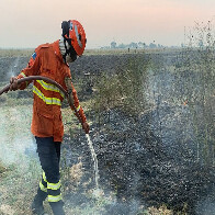Bombeiros de MS fazem for&ccedil;a-tarefa para controlar inc&ecirc;ndios no Pantanal