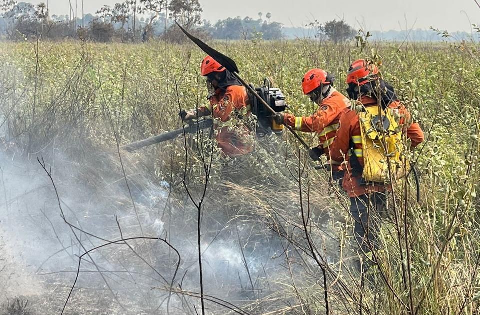 Inc&ecirc;ndios s&atilde;o controlados no Pantanal e equipes continuam trabalho de rescaldo e monitoramento da regi&atilde;o