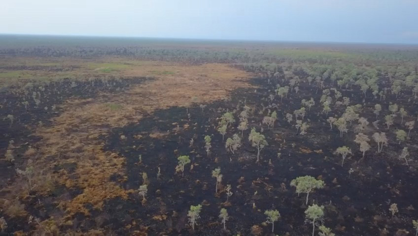 Com atua&ccedil;&atilde;o intensa e ap&oacute;s chuva, Bombeiros de MS controlam focos de inc&ecirc;ndios no Pantanal