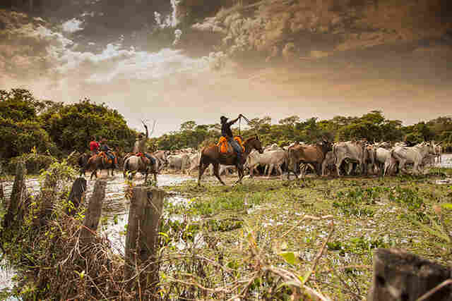 Seguran&ccedil;a jur&iacute;dica, conserva&ccedil;&atilde;o e infraestrutura: desafios da Lei do Pantanal