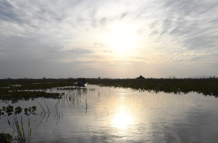 Instrumento para preserva&ccedil;&atilde;o e desenvolvimento, Lei do Pantanal tem reconhecimento de entidades e ONGs