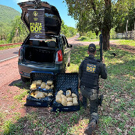 DOF prende mulher com mais de 24 quilos de skunk na BR-262 em Corumb&aacute;
