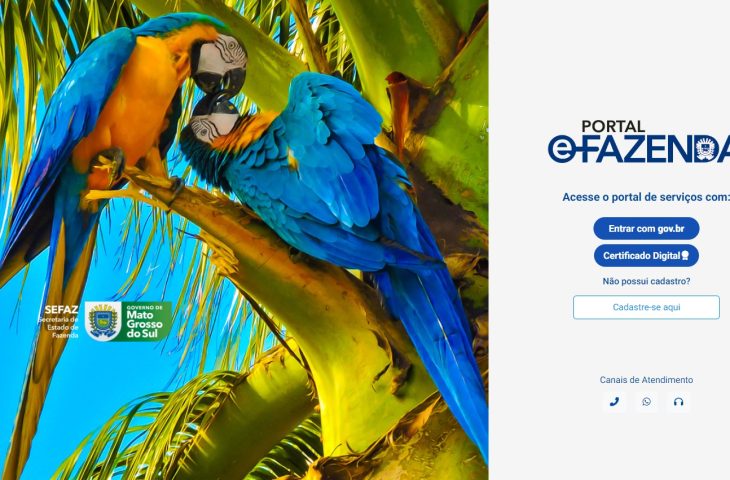 IPVA 2024 poder&aacute; ser pago com Pix; novo portal garante seguran&ccedil;a para contribuintes