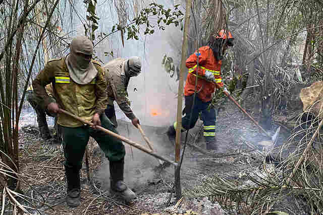 Governo do Estado mant&eacute;m combate a inc&ecirc;ndios no Pantanal com apoio de tecnologia e equipamentos