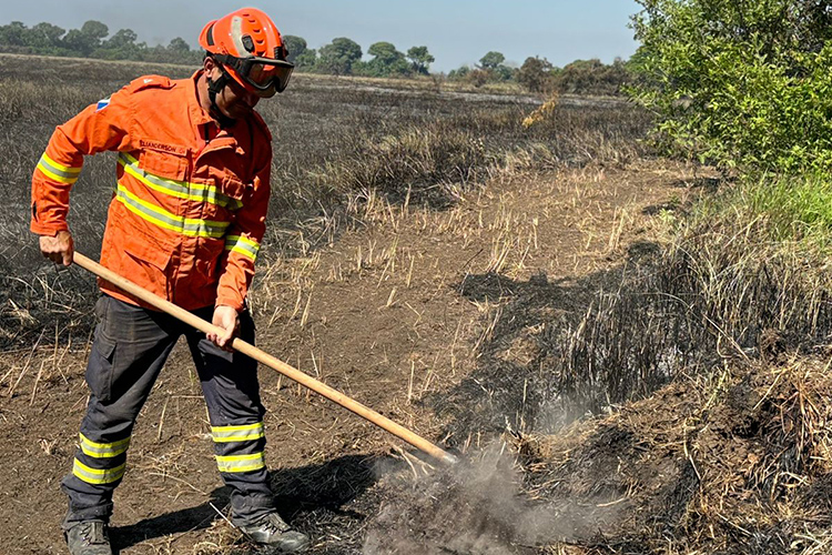 Governo do Estado mant&eacute;m combate a inc&ecirc;ndios no Pantanal com apoio de tecnologia e equipamentos