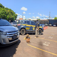 Ve&iacute;culo que partiu de Corumb&aacute; com 41 Kg de pasta base de coca&iacute;na &eacute; detido na BR-262