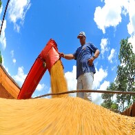 Exporta&ccedil;&otilde;es de MS batem recorde, crescem 28,1% e chegam a US$ 10,517 bilh&otilde;es em 2023