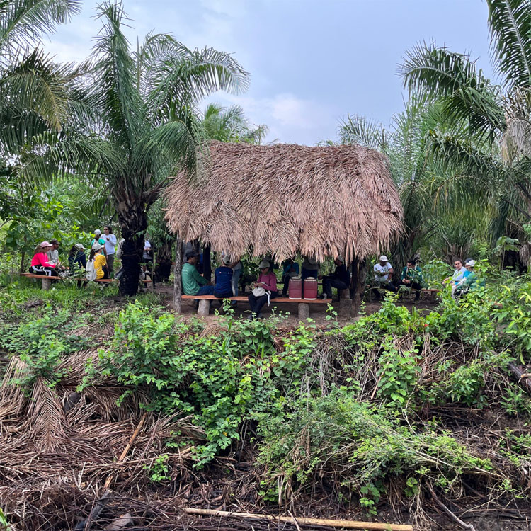 Trilha Regenera&ccedil;&atilde;o &eacute; exposi&ccedil;&atilde;o a c&eacute;u aberto da restaura&ccedil;&atilde;o do Pantanal ap&oacute;s os inc&ecirc;ndios de 2020 