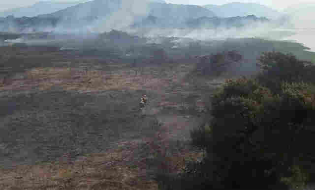 Com refor&ccedil;o de aeronaves e bombeiros, Governo amplia atua&ccedil;&atilde;o para controlar inc&ecirc;ndio no Pantanal em MS