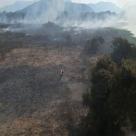Com refor&ccedil;o de aeronaves e bombeiros, Governo amplia atua&ccedil;&atilde;o para controlar inc&ecirc;ndio no Pantanal em MS