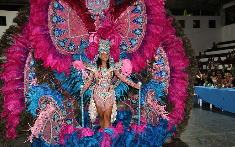 Concurso de Fantasia exalta luxo e criatividade