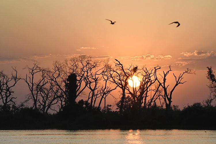 El Ni&ntilde;o provoca situa&ccedil;&atilde;o clim&aacute;tica extrema em MS, com alerta para inc&ecirc;ndios florestais no Pantanal