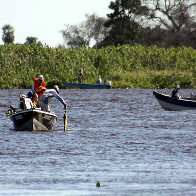 Prorroga&ccedil;&atilde;o da proibi&ccedil;&atilde;o da pesca do Dourado &eacute; aprovada em 1&ordf; vota&ccedil;&atilde;o na Alems