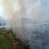 Governo de MS prepara atua&ccedil;&atilde;o para temporada de inc&ecirc;ndios florestais no Pantanal