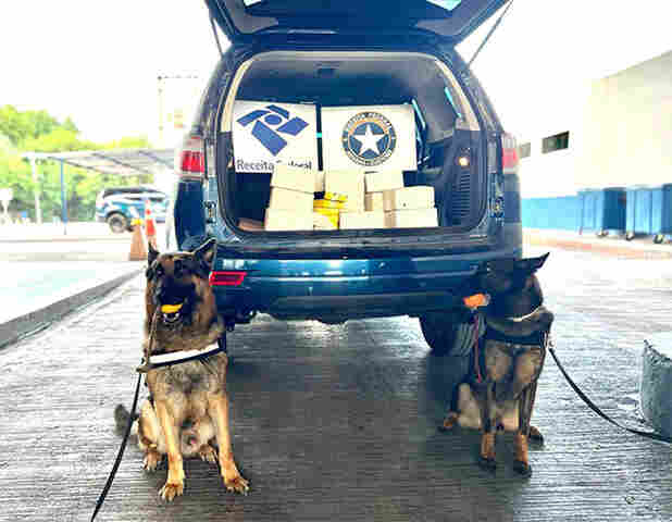 Receita Federal apreende 115 kg de drogas camufladas em sacas de pimenta dentro da Opera&ccedil;&atilde;o Terminus