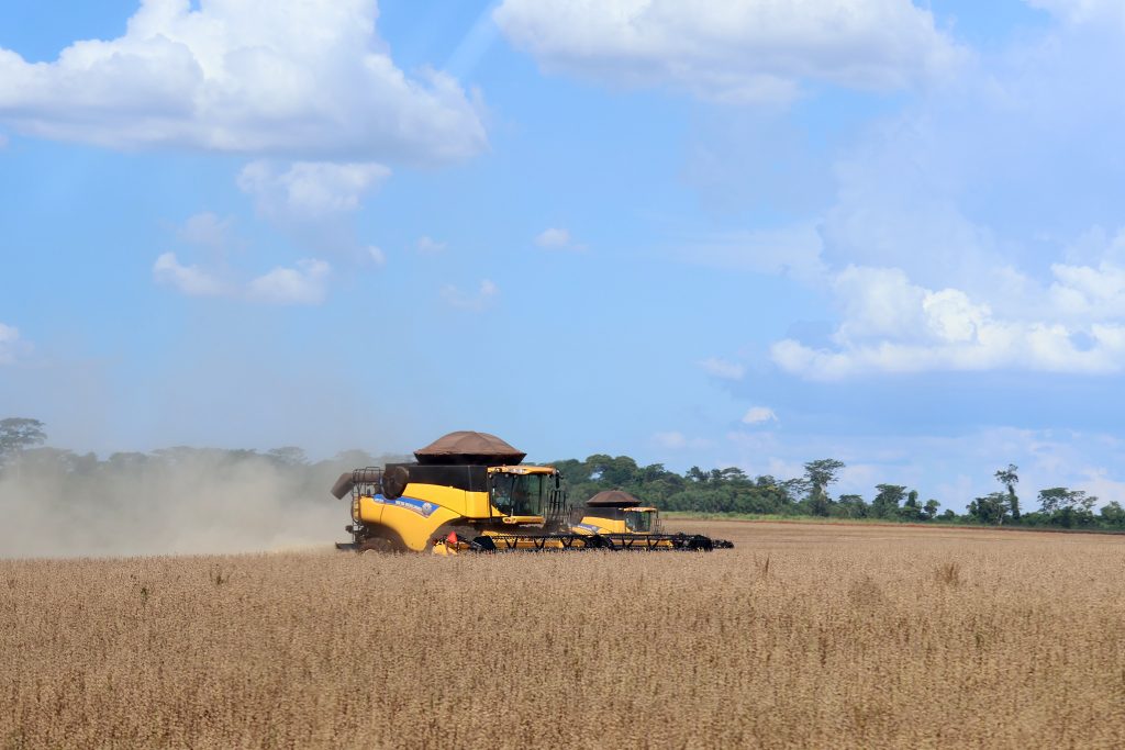 MS teve o maior crescimento do PIB do agroneg&oacute;cio entre os estados brasileiros