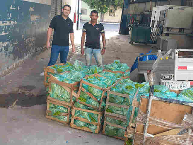 Agricultores familiares repassam produ&ccedil;&atilde;o para mercado atacadista de Corumb&aacute;