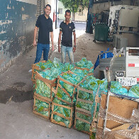 Agricultores familiares repassam produ&ccedil;&atilde;o para mercado atacadista de Corumb&aacute;