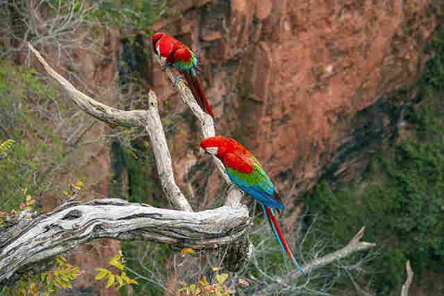Baixa temporada em Jardim tem combo  de um dia no Buraco das Araras e Ecopark