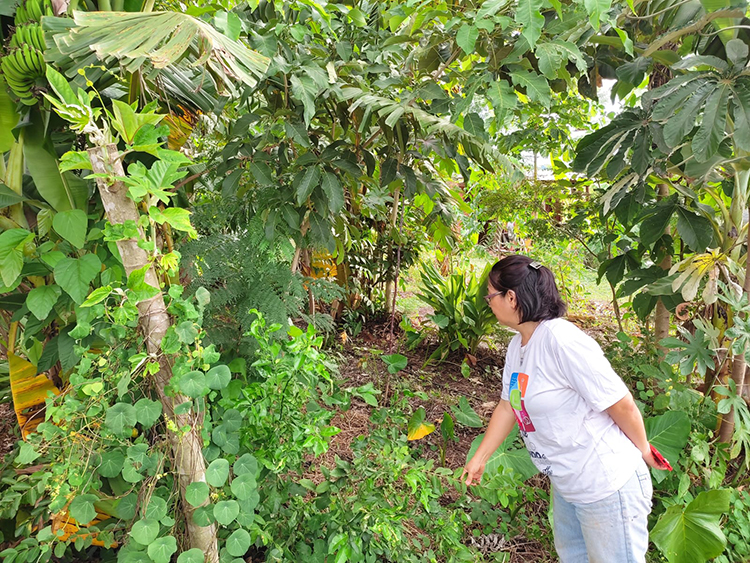 M&ecirc;s da Mulher: agricultora familiar que sonha fazer da agrofloresta a sua moradia