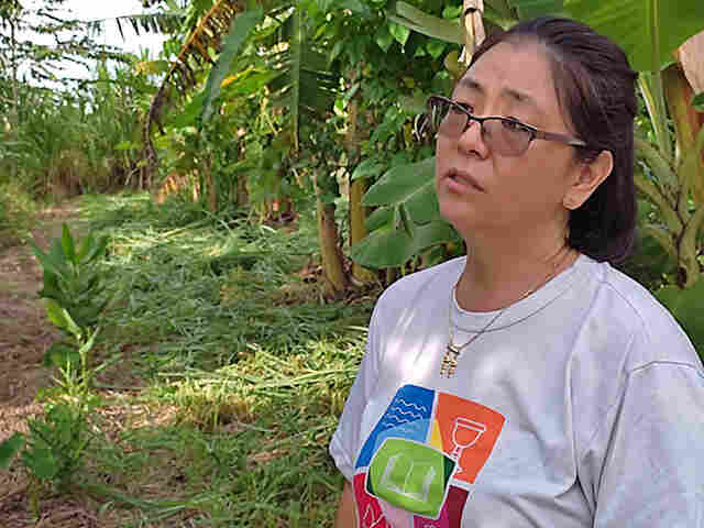 M&ecirc;s da Mulher: agricultora familiar que sonha fazer da agrofloresta a sua moradia