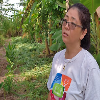 M&ecirc;s da Mulher: agricultora familiar que sonha fazer da agrofloresta a sua moradia