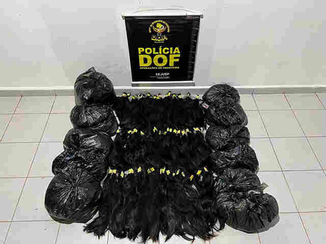 Mais de 40 quilos de cabelo humano de origem boliviana s&atilde;o apreendidos pelo DOF em Corumb&aacute;