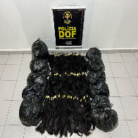 Mais de 40 quilos de cabelo humano de origem boliviana s&atilde;o apreendidos pelo DOF em Corumb&aacute;