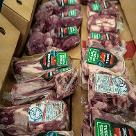 Expedi&ccedil;&atilde;o revela avan&ccedil;os na verticaliza&ccedil;&atilde;o da carne pantaneira em Mato Grosso do Sul