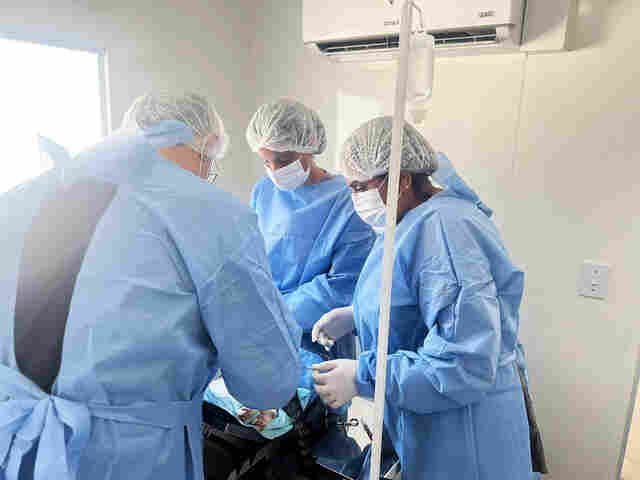 Mais de 1.400 c&atilde;es e gatos j&aacute; foram inscritos para castra&ccedil;&atilde;o; servi&ccedil;o prossegue no Guat&oacute;