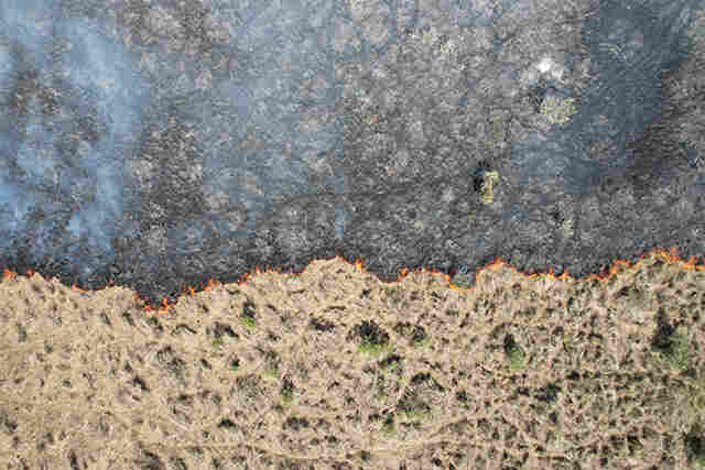 Lan&ccedil;ado em 2023, SIFAU auxilia Mato Grosso do Sul na identifica&ccedil;&atilde;o de &aacute;reas para queima prescrita  